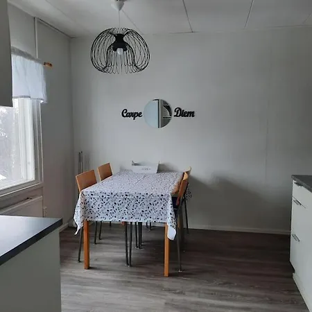 Viihtyisae Ja Edullinen Kaksio